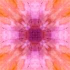 Pink and orange abstract Art Print